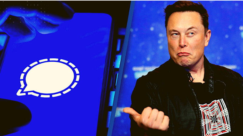 ¿qué Es Signal Y Por Qué Elon Musk La Recomienda Magazine Managementemk 7166